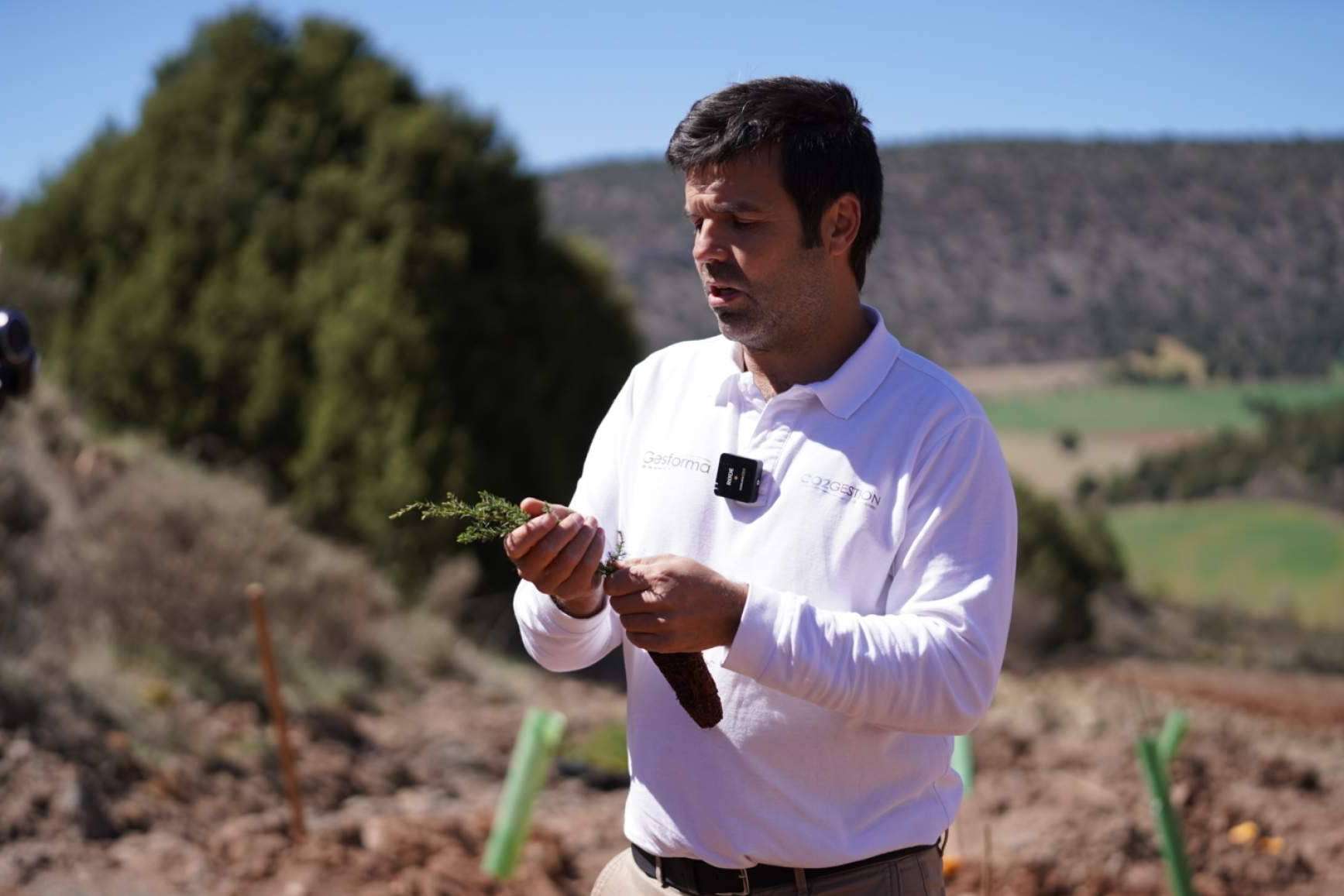 CO₂ Gestión ofrece servicio especializado para calcular huella de carbono, registrarla y compensarla en el MITERD