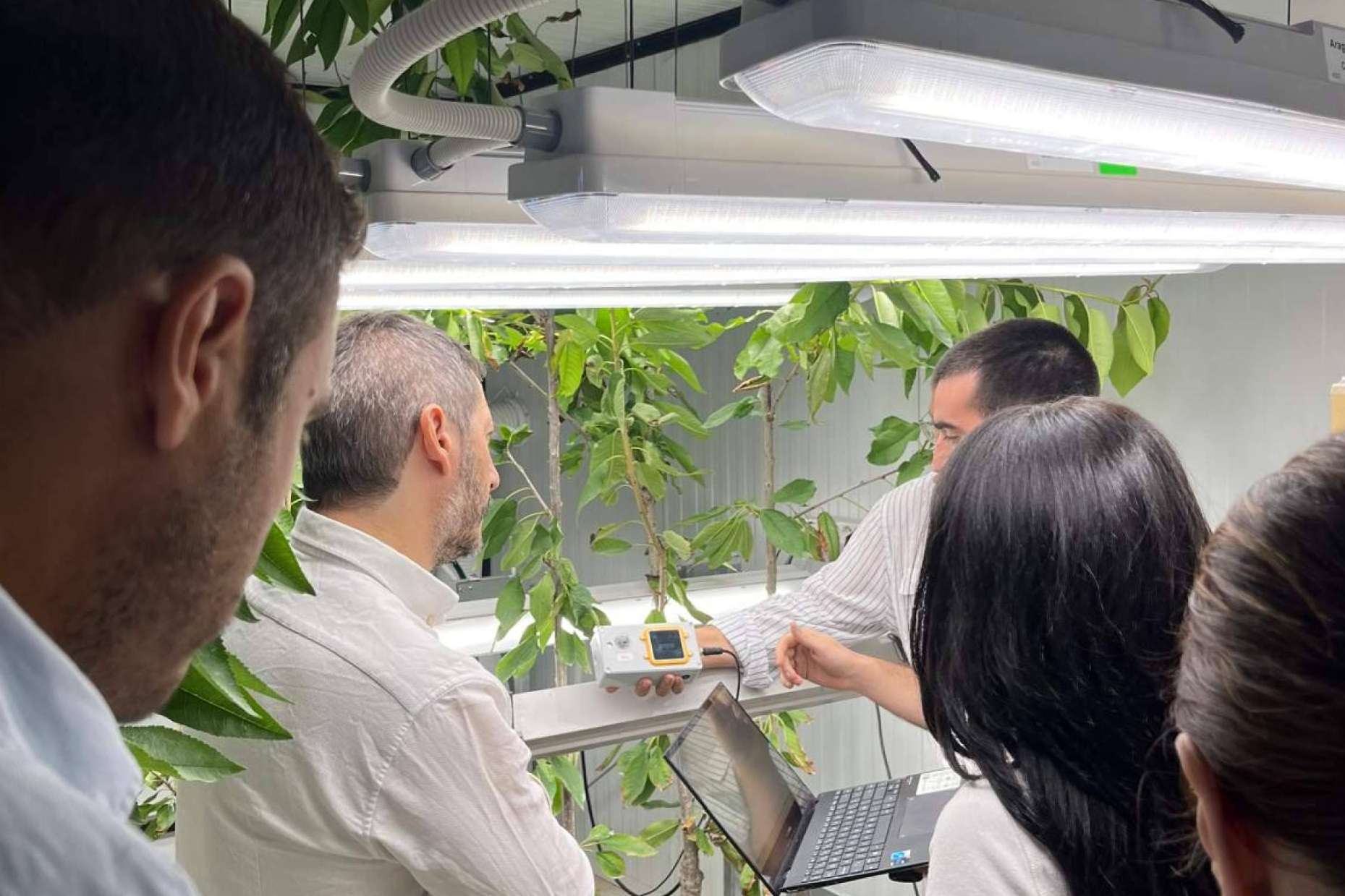 ¿En qué consiste el cultivo vertical y confinado?