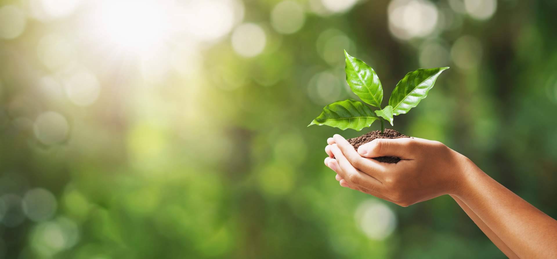 Multienergía Verde, pionera en ecoeficiencia para un futuro más limpio
