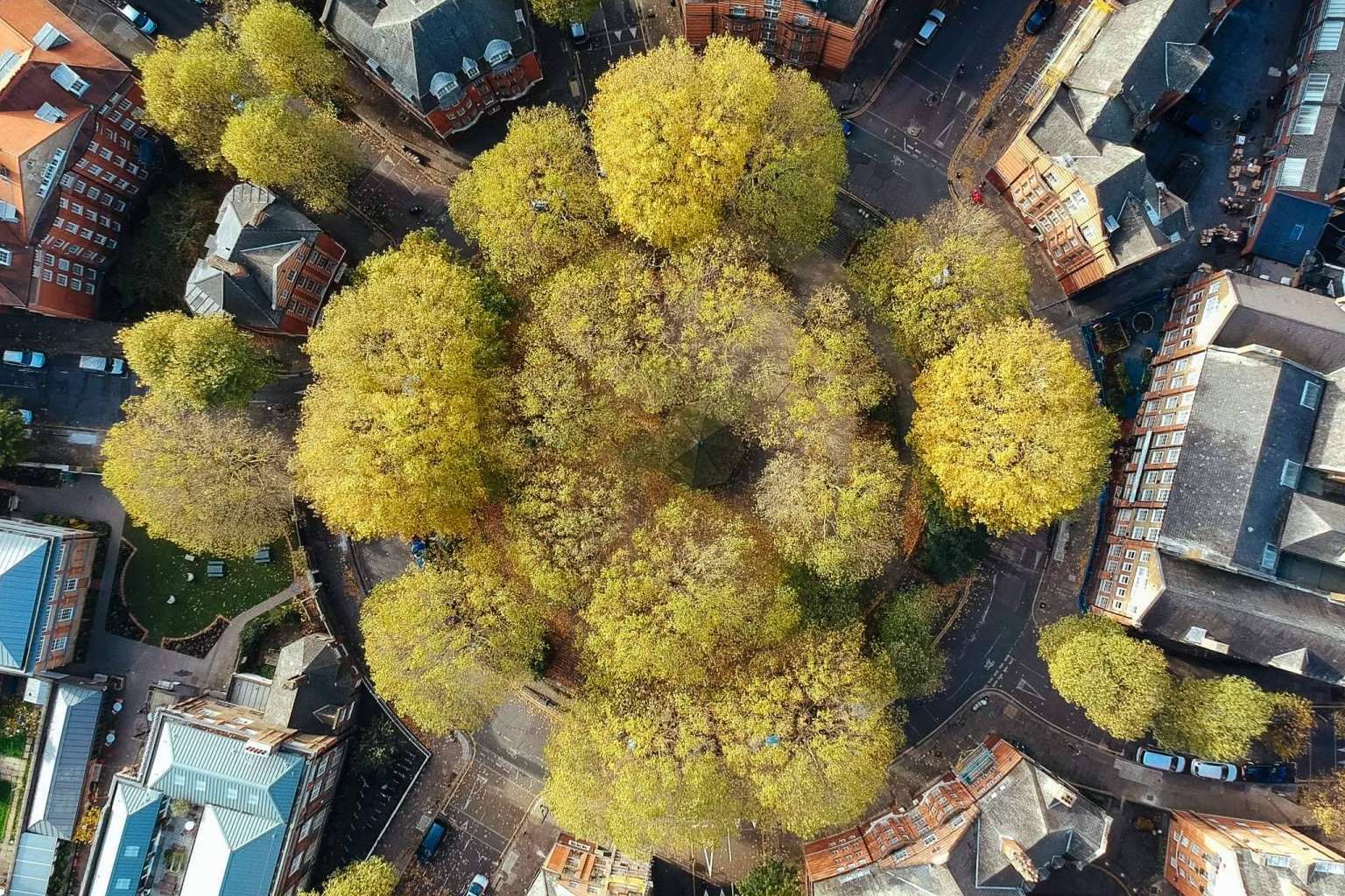 Estrategias ESG para la empresa