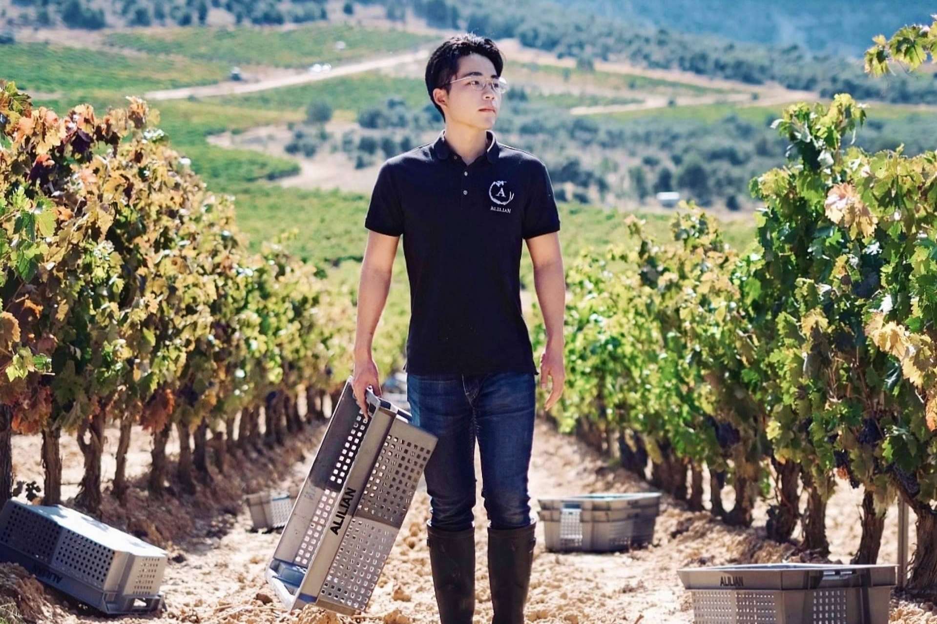 Bodegas Alilian, la bodega de Ribera de Duero que está sorprendiendo a expertos y entusiastas del vino