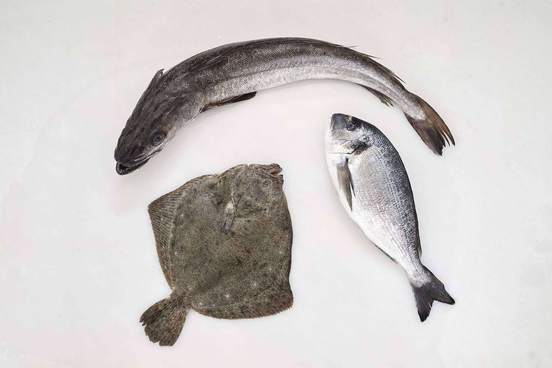 Volver a la rutina saludable con pescado blanco, una de las mejores opciones tras las vacaciones