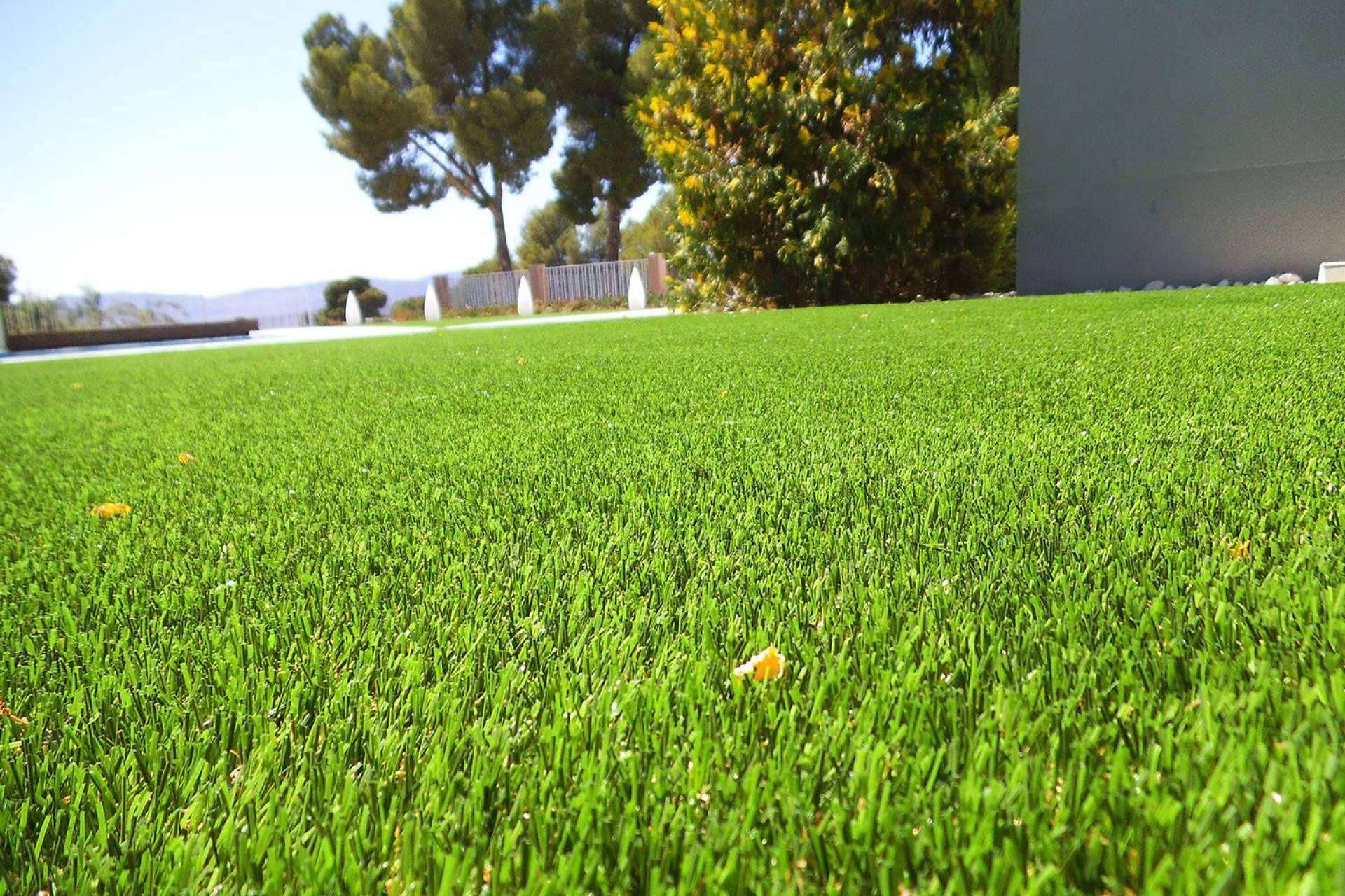 ¿Cómo tener un jardín impecable sin tener que preocuparse por el mantenimiento?
