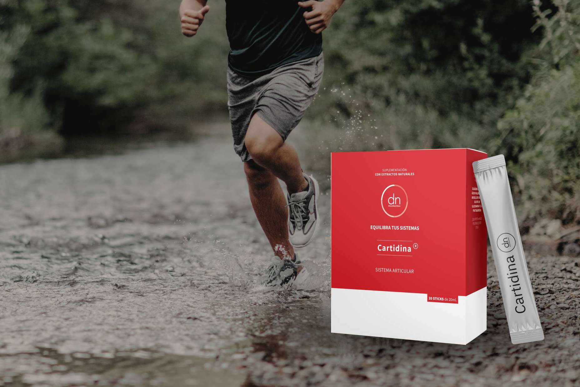 La regeneración del cartílago con Cartidina de Direct Nutrition