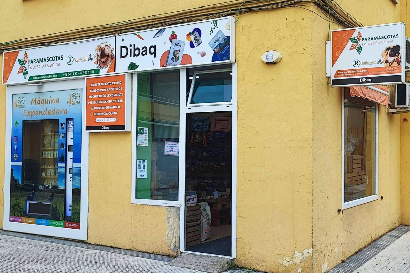 En 'ParaMascotas' creen que el peludo merece ser el más feliz del mundo