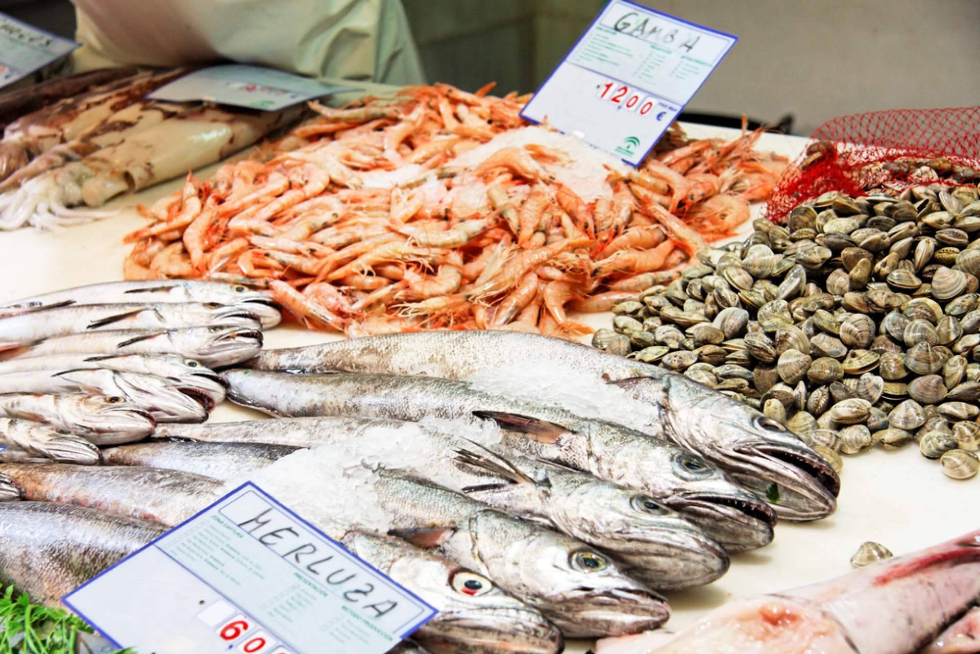 Pescadería Younes Ceuta, una referencia de frescura y calidad en productos del mar