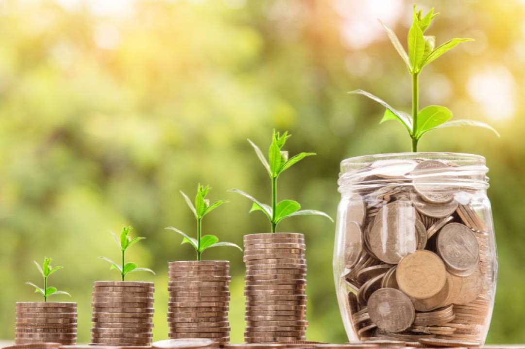 La importancia de reducir el IVA en la biomasa; una necesidad para fomentar el uso de energía sostenible