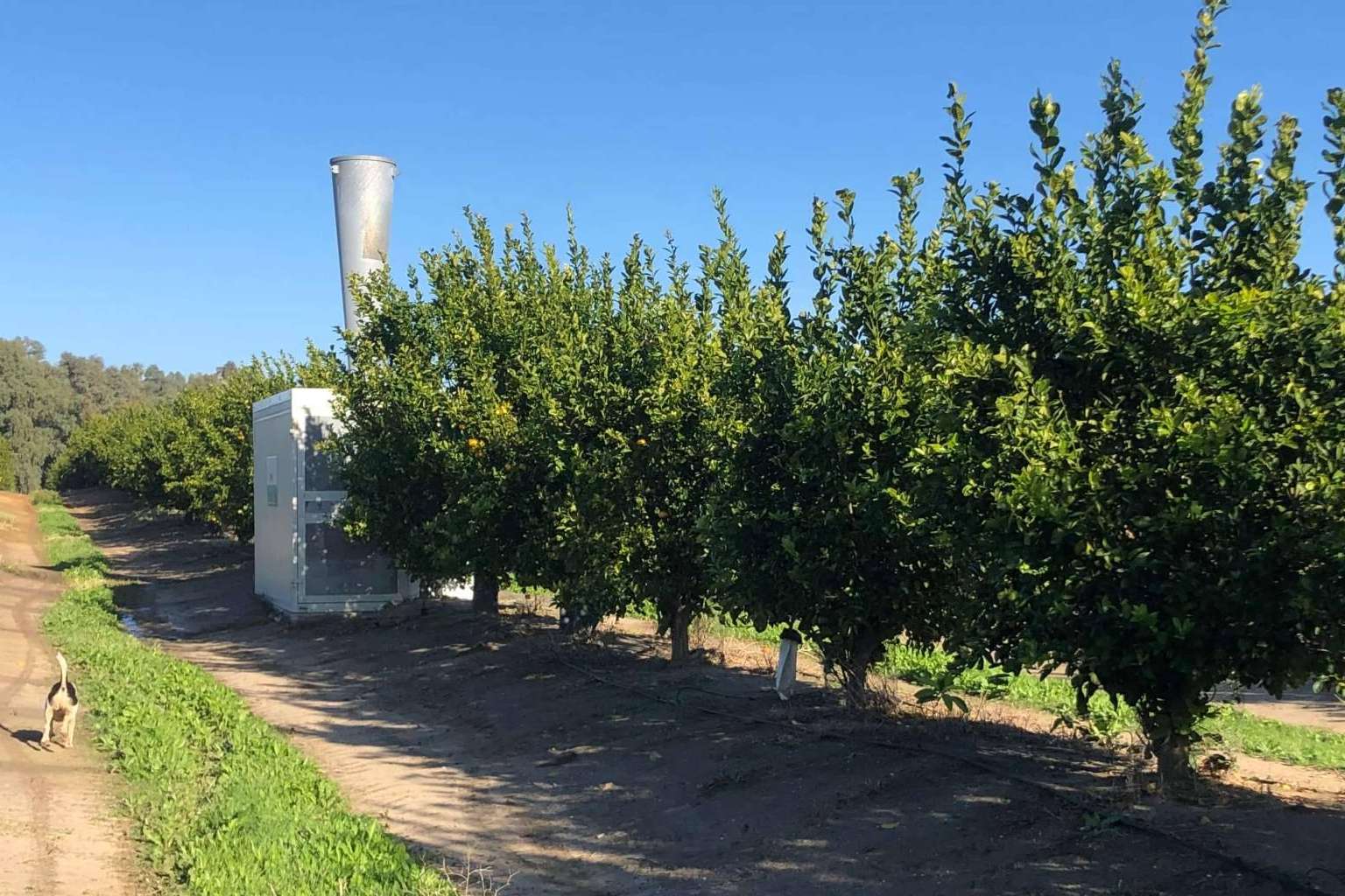El clamor de los agricultores; Nace ANSAS para defender un sistema antigranizo legal y eficaz