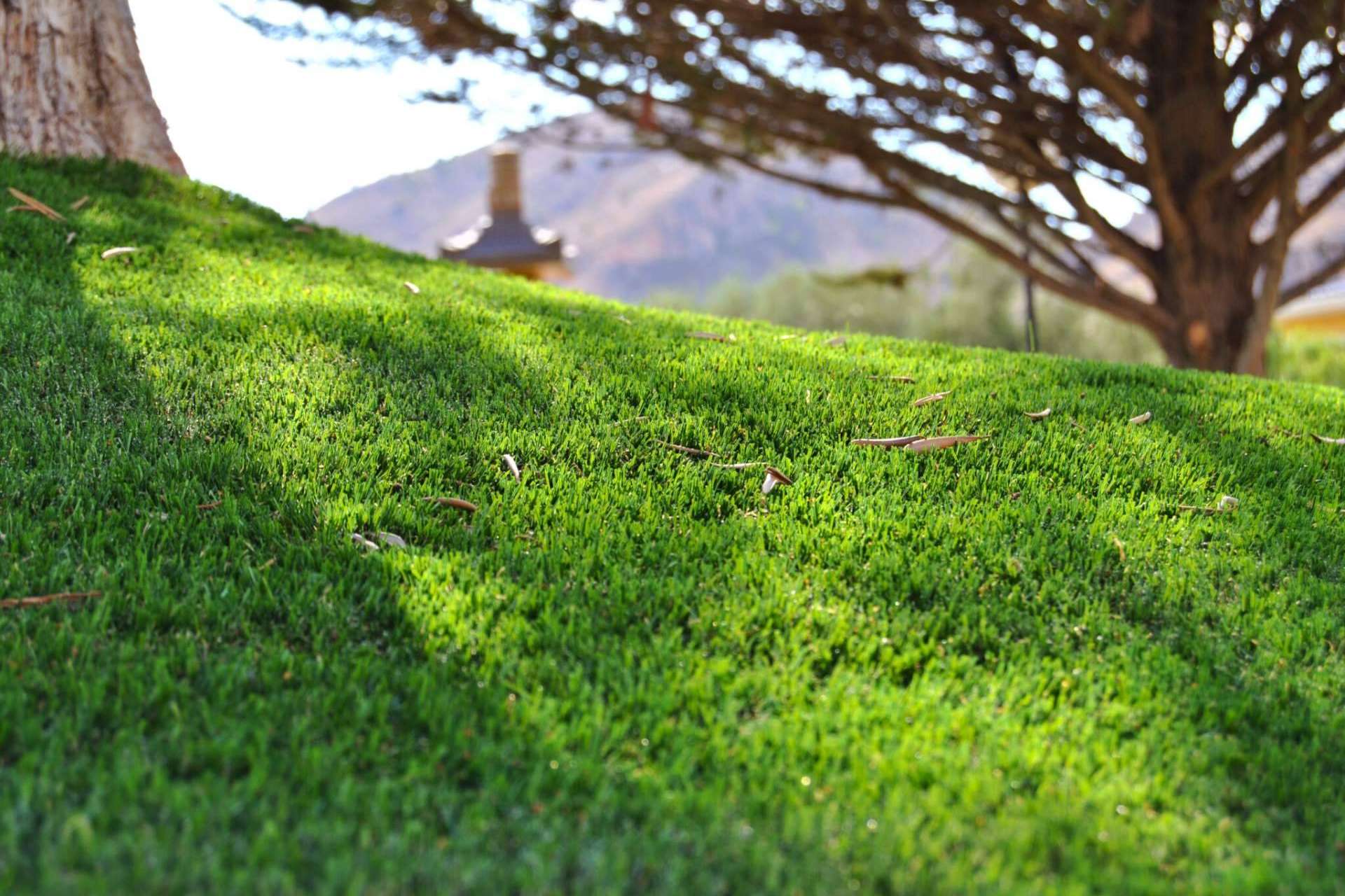 Albergrass revoluciona el césped artificial con su nuevalínea de aspecto natural y alta calidad