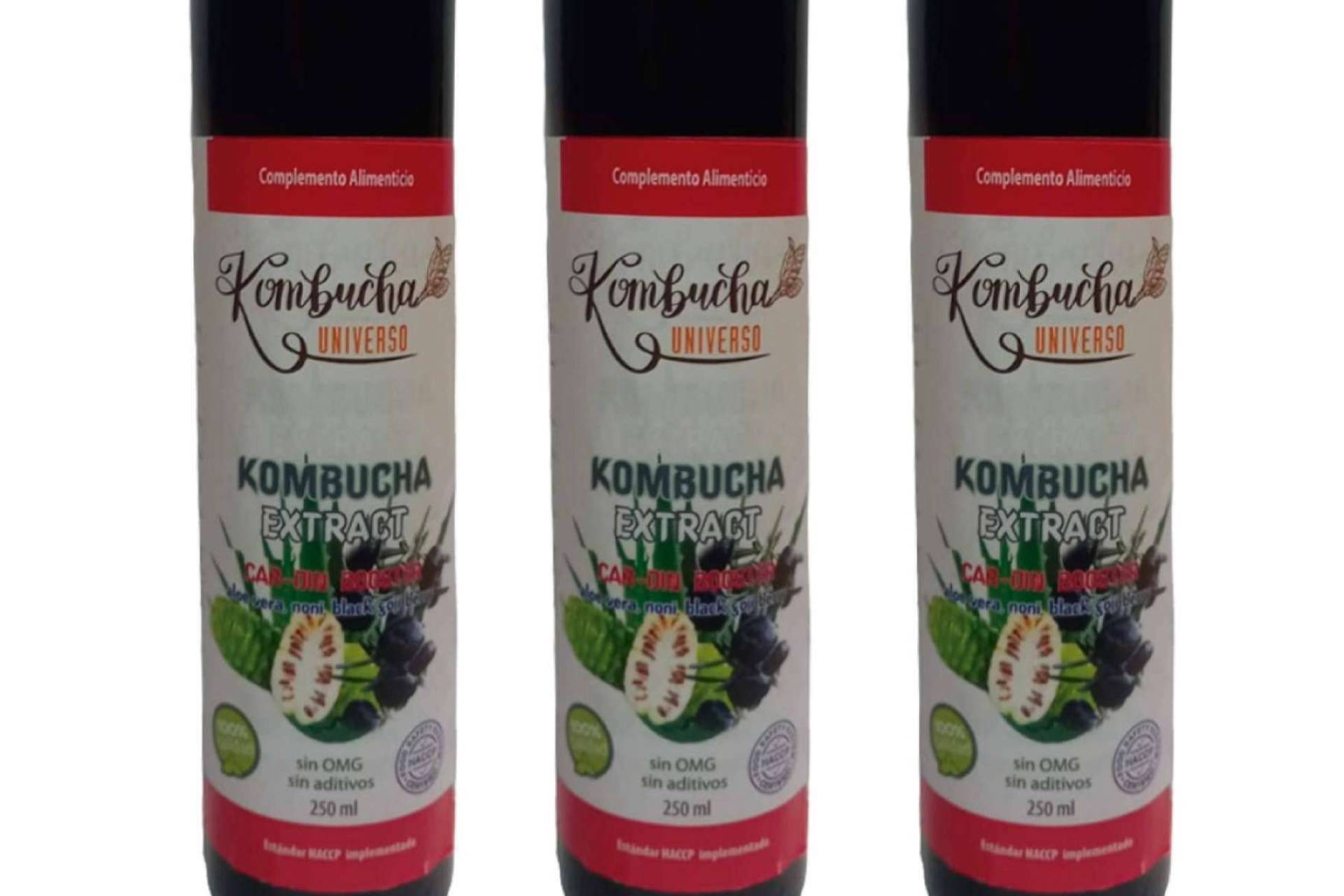 Las recetas artesanales de Kombucha Universo, una revolución en las bebidas saludables