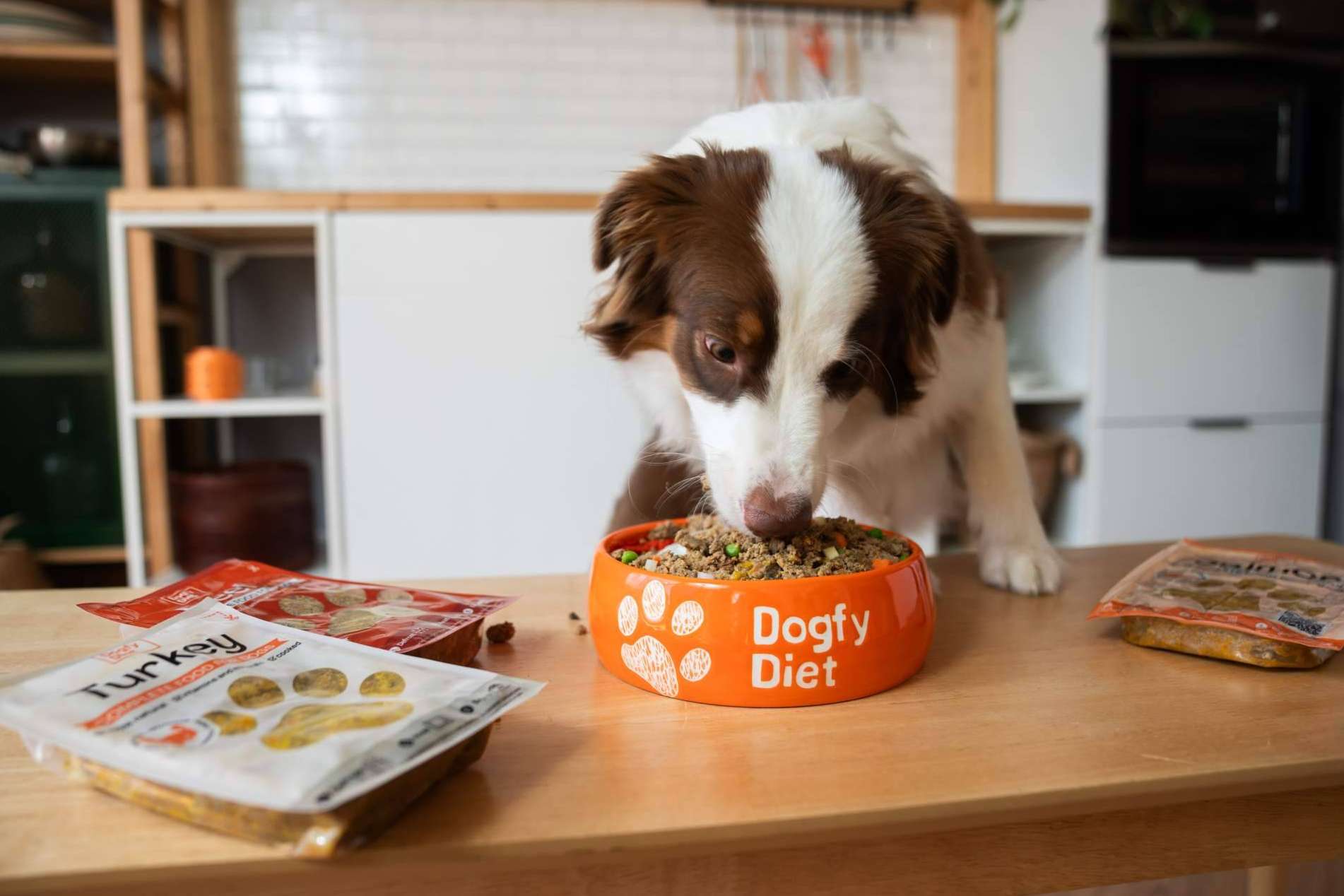 Comida natural para perros a domicilio, la solución de Dogfy Diet para una alimentación saludable