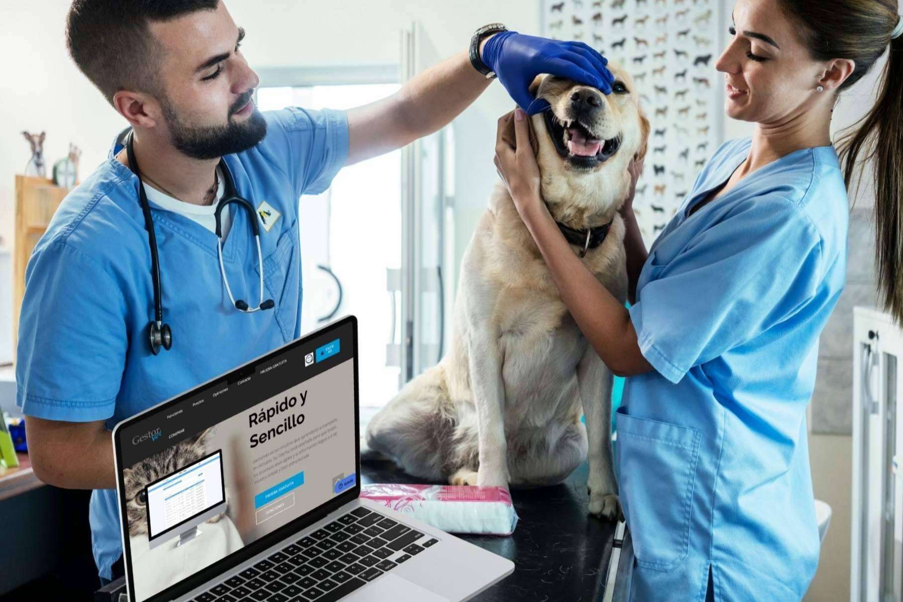 GestorVet; el software idóneo para cumplir la nueva normativa de gestión veterinaria en España