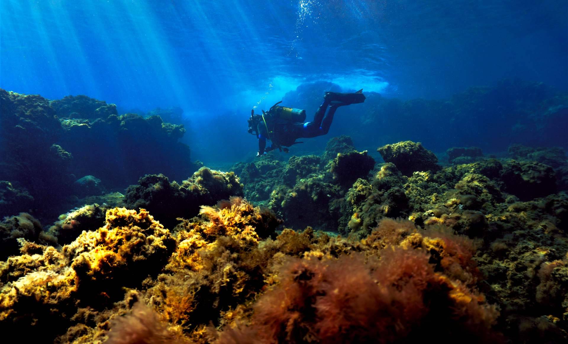 Canarias.com amplía su propuesta de excursiones Tenerife con experiencias adaptadas a todos los perfiles
