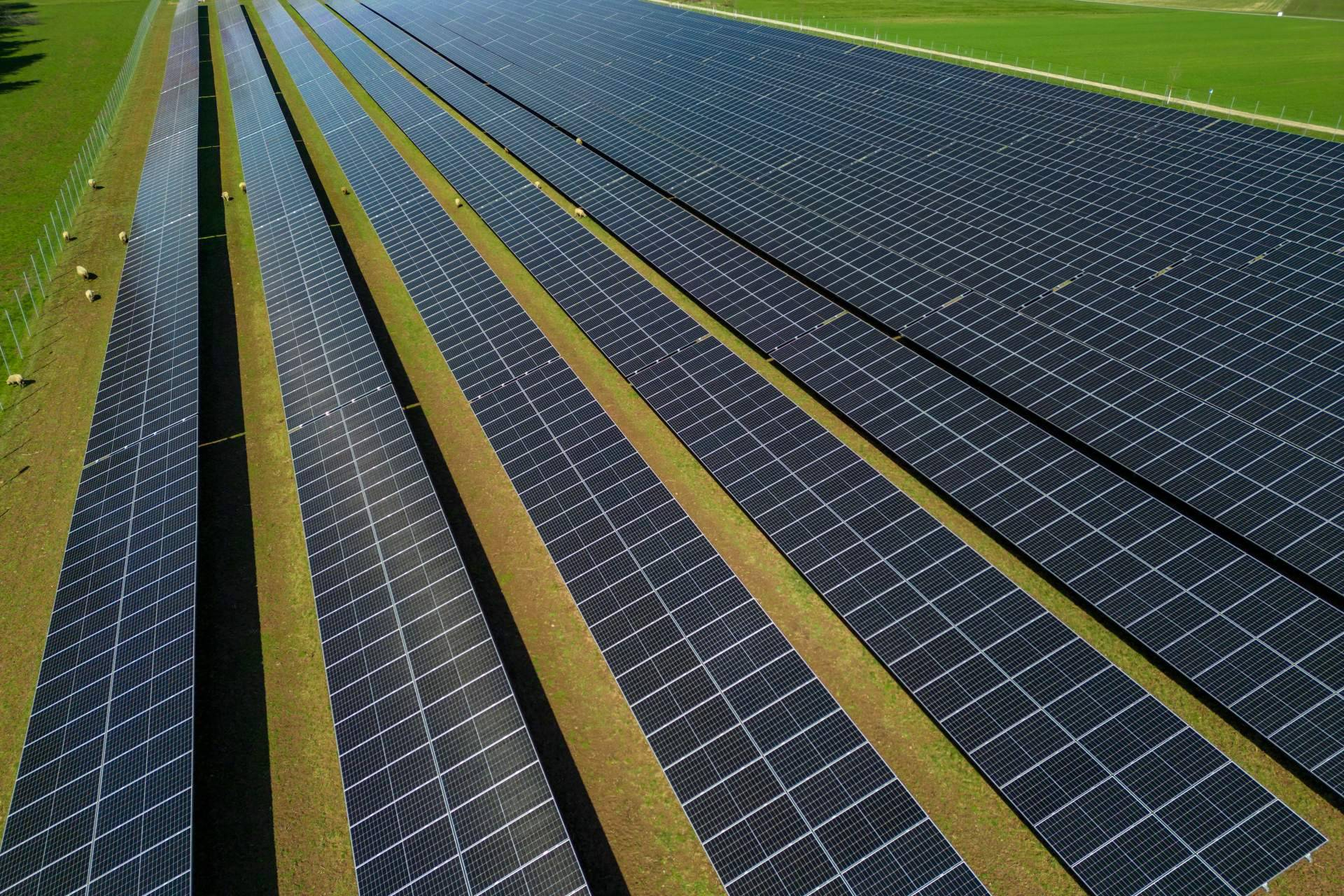 BayWa r.e. impulsa la eficiencia de plantas fotovoltaicas con sus servicios de revamping solar