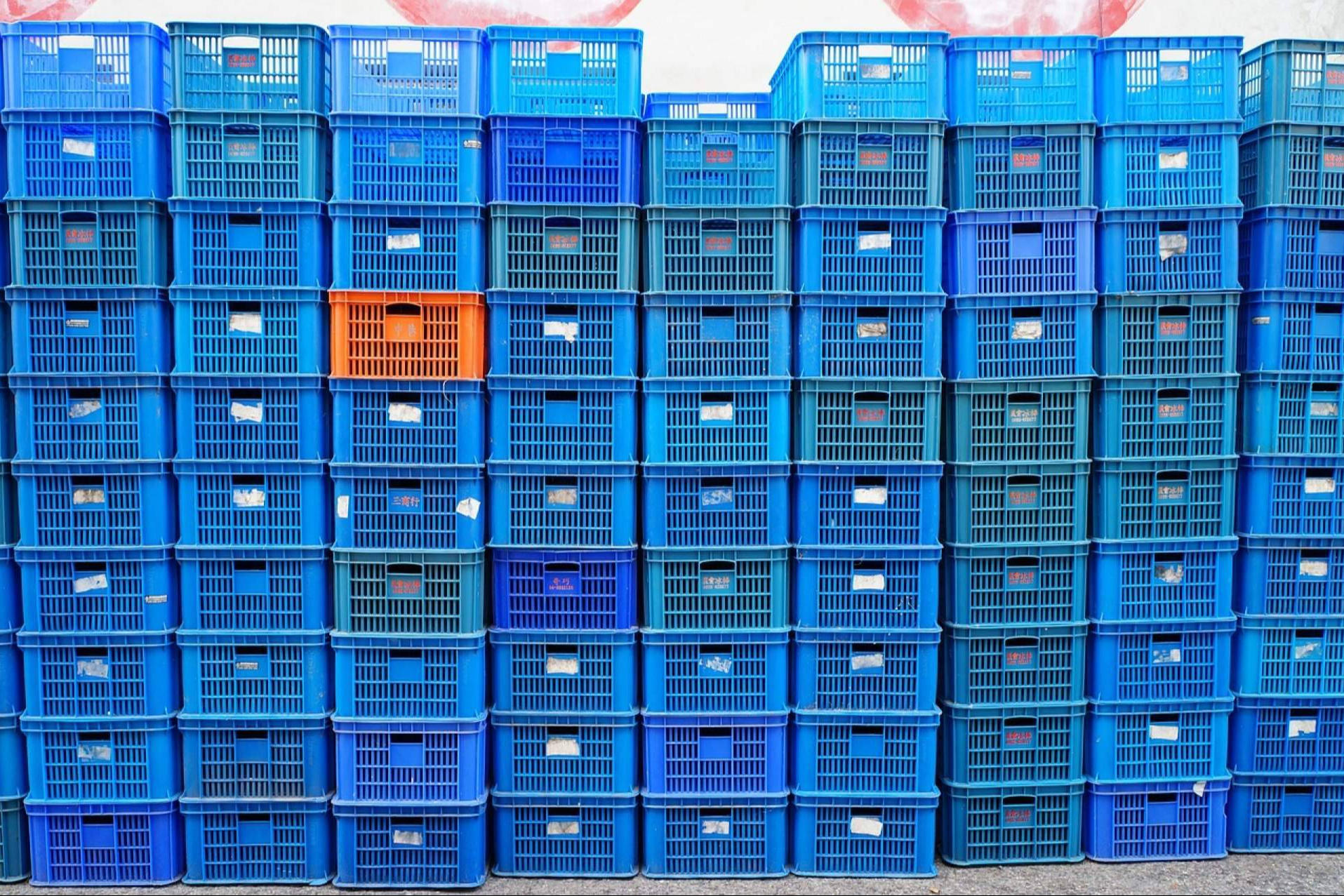 Exportación de alimentos y otros consumibles; clave para el crecimiento global