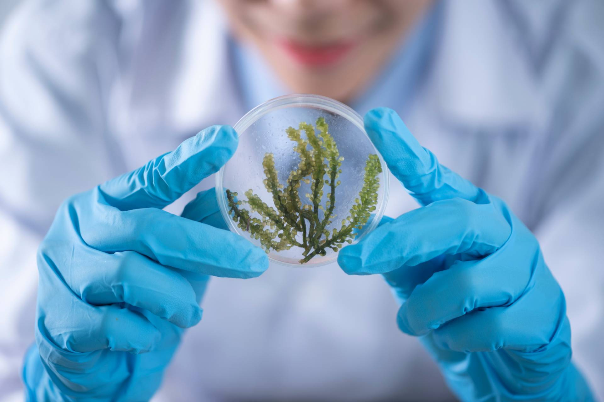Opinión experta sobre Naturalicia; innovación ecológica en cosmética facial