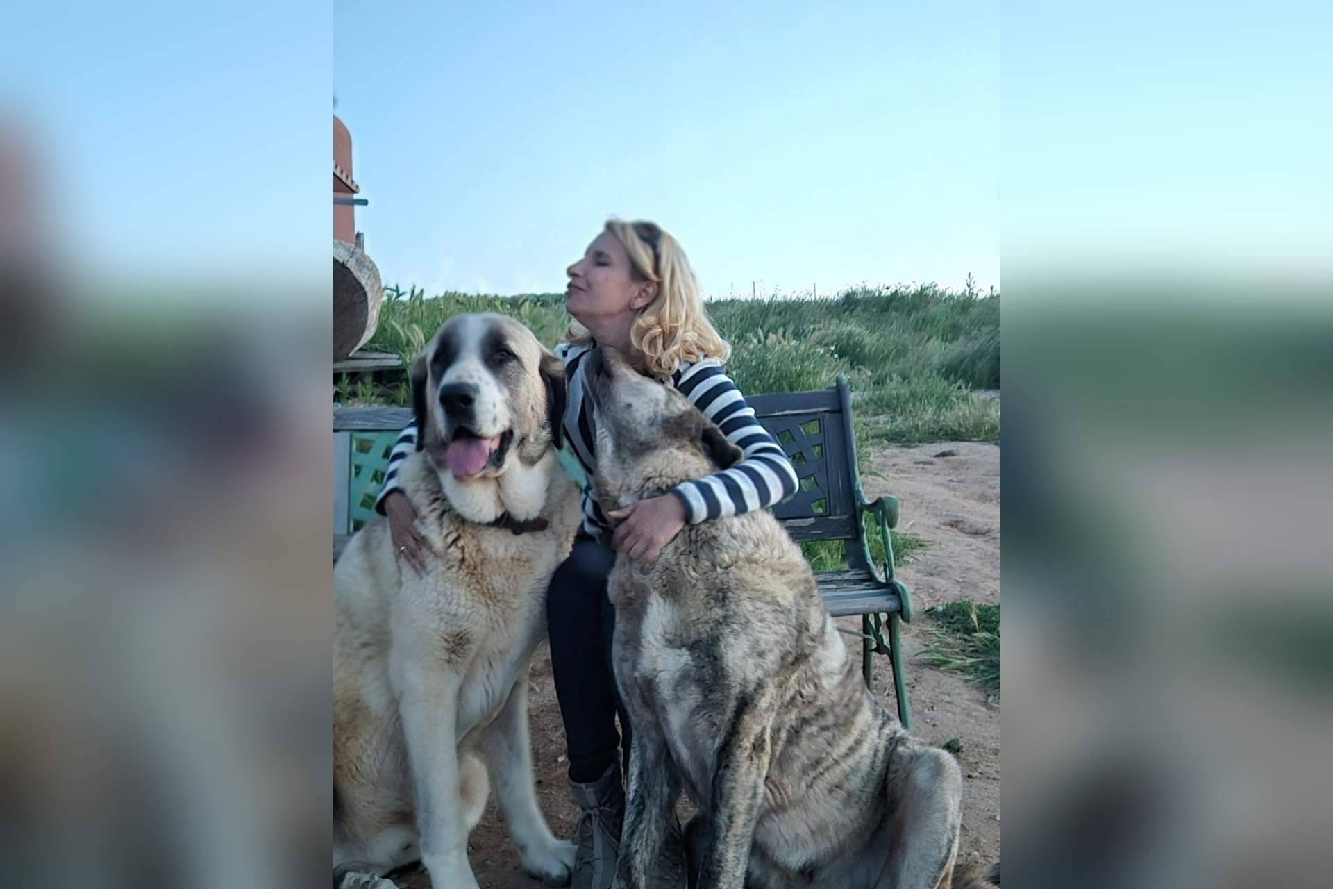 Referentes en adiestramiento canino en Madrid; la experiencia de Cole de Canes