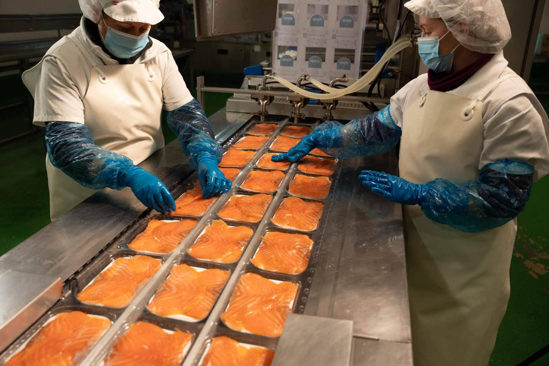 Comprar salmón ahumado online con la garantía de tradición y calidad de Anfele Ahumados
