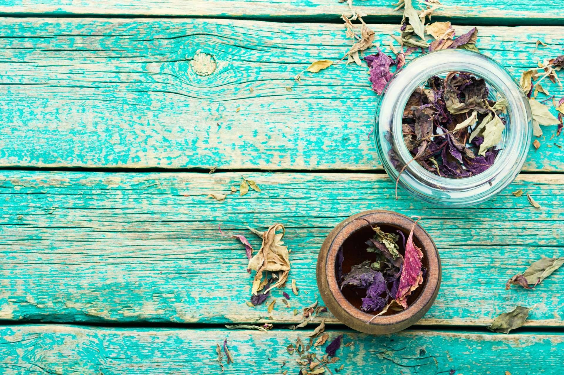 La Mejor Cosmética lanza un marketplace nacional centrado en cosmética natural y cuidado personal para toda la familia