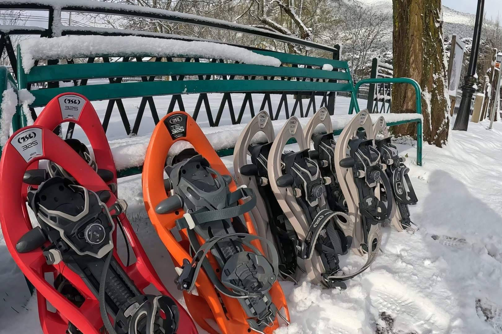 Raquetas de nieve en el Pirineo Aragonés, la actividad estrella del senderismo invernal