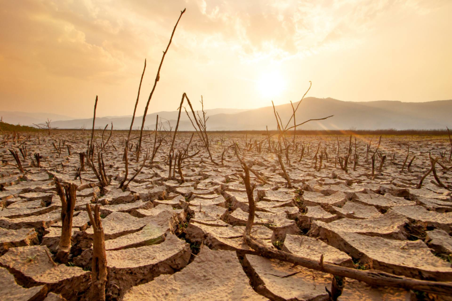¿Qué es la bancarrota hídrica? Definición, causas y soluciones desde la ingeniería del agua