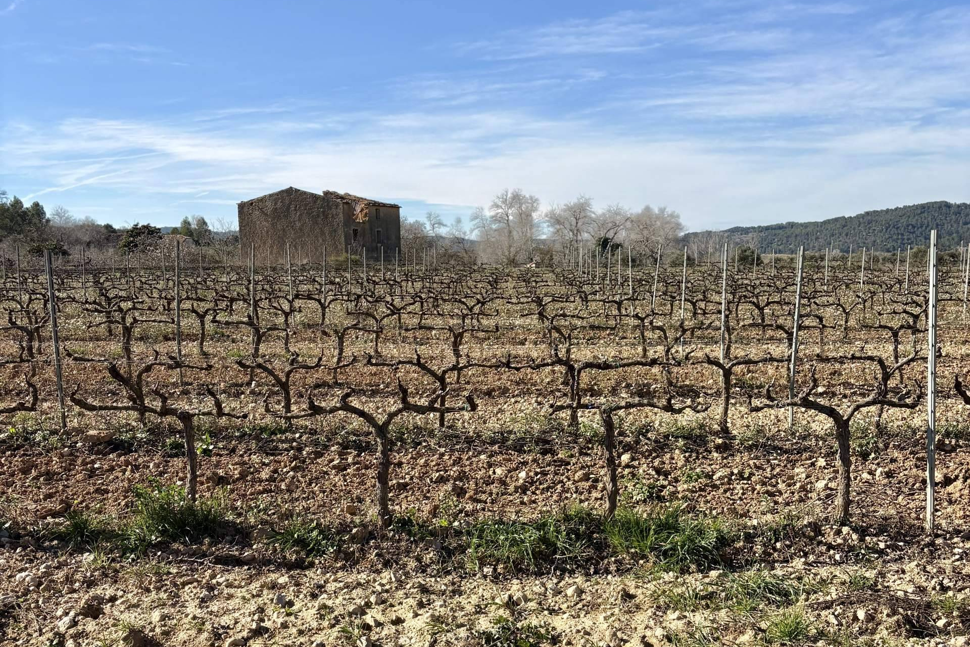 Descubrir Cataluña a través del turismo experiencial