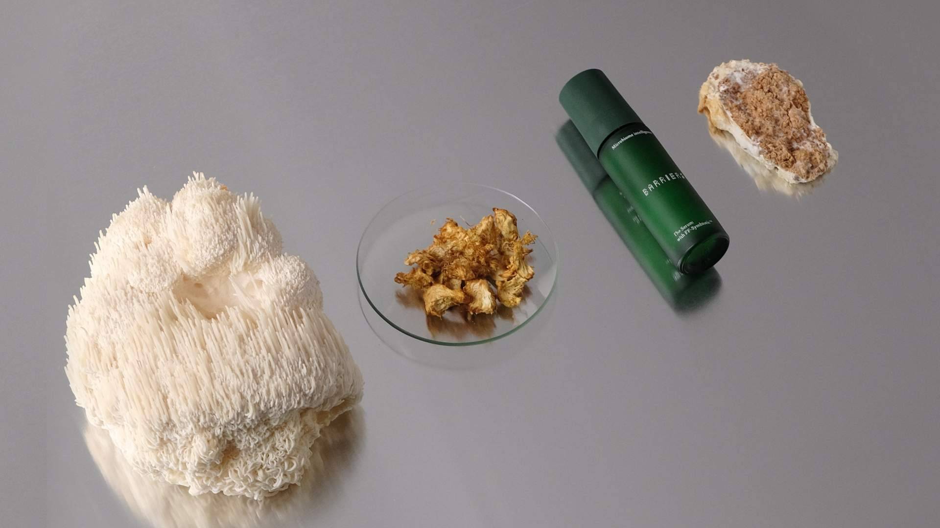 Barriers, la nueva marca de skincare que une microbioma, skin longevity y cultivo propio de ingredientes