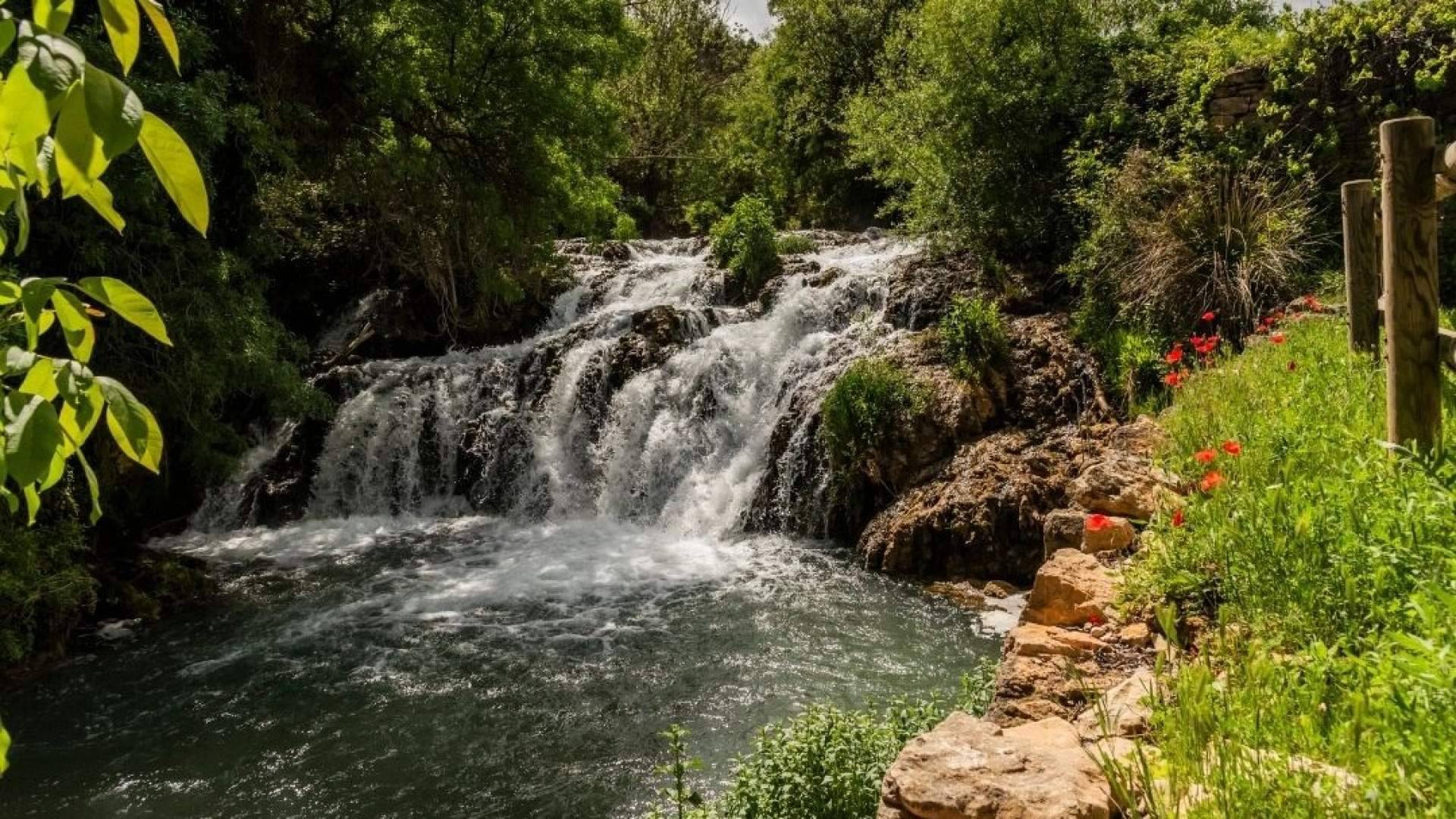 Molina de Aragón – Alto Tajo refuerza su posicionamiento con su nueva marca turística