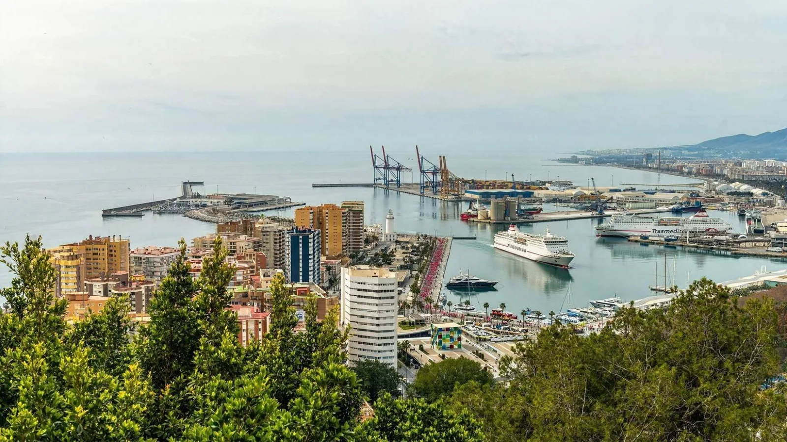 Solo 25 de 533 cruceros permiten embarcar en Málaga; el reto pendiente del puerto malagueño