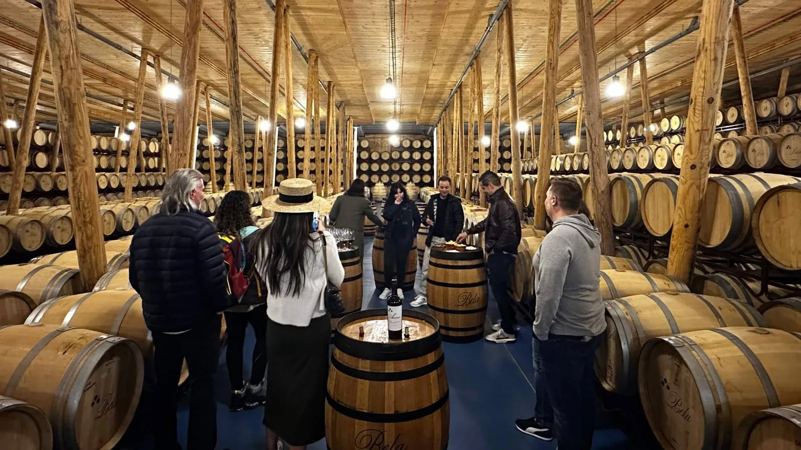 Tour de vinos frente a ir por cuenta propia; Wine Tours From Madrid explica el valor de una ruta organizada